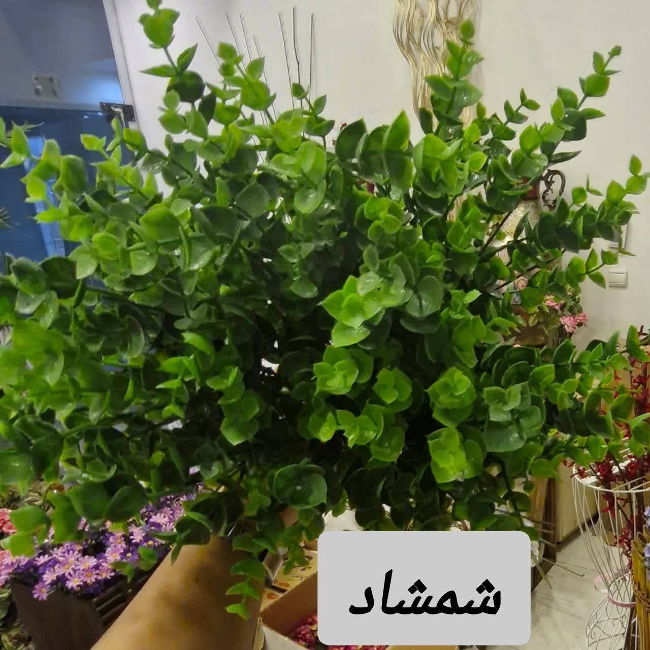 شاخه گل شمشاد مصنوعی سبز مدل لوکس