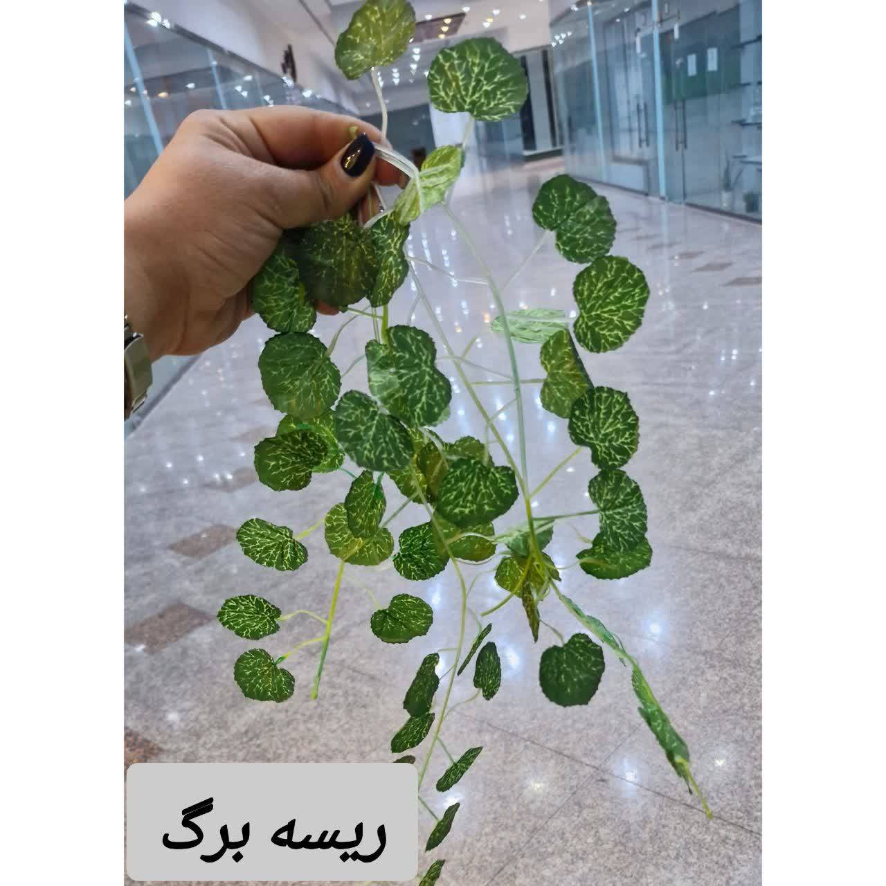 ریسه برگ ریز