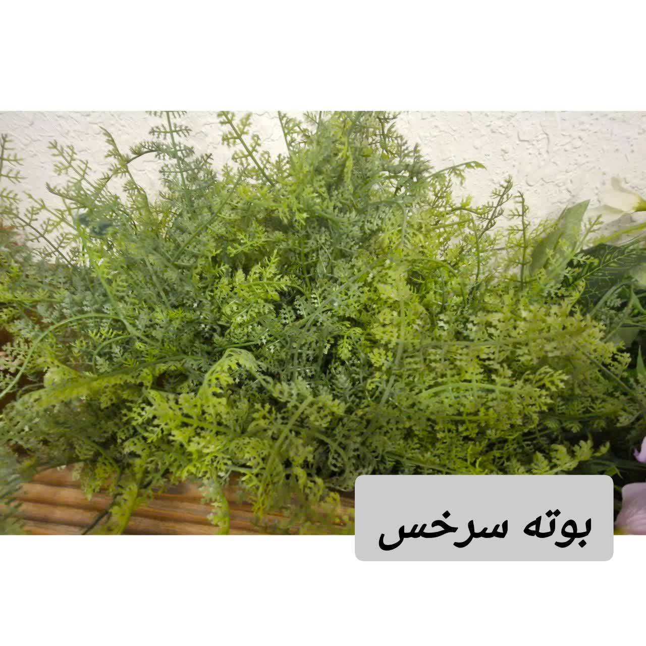 بوته سرخس مصنوعی