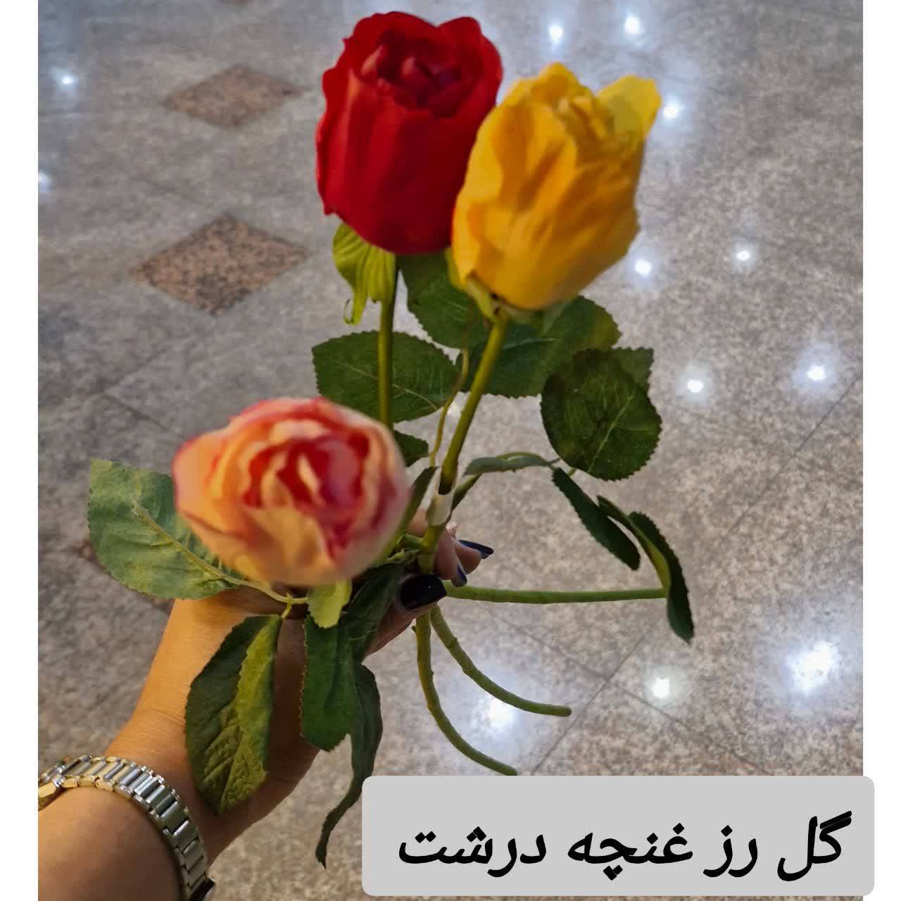 گل رز غنچه درشت