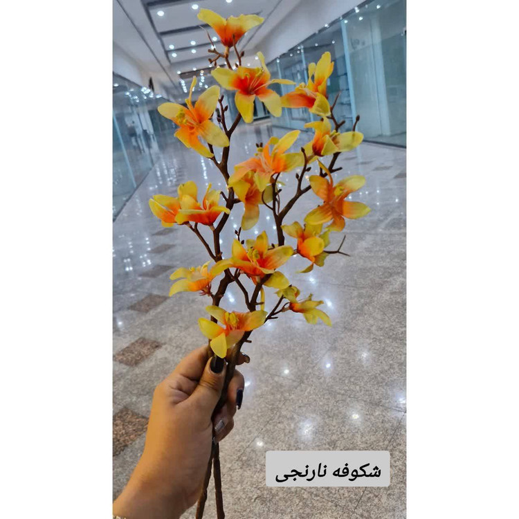 شکوفه نارنجی