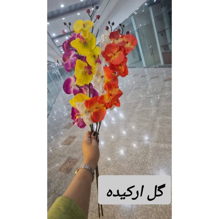 گل ارکیده